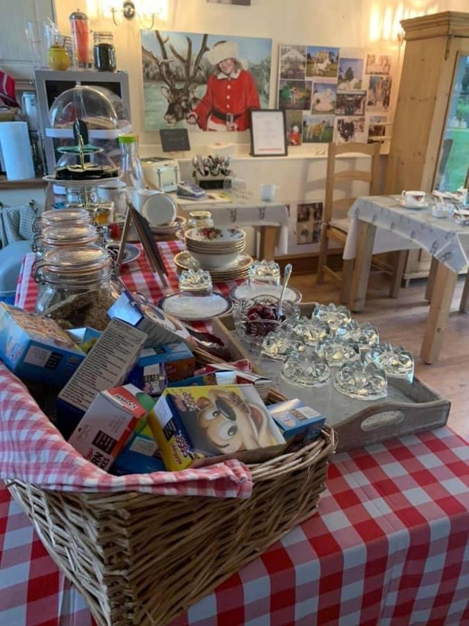 The Reindeer Retreat Buttercup Twin Ξενοδοχείο Kidwelly Εξωτερικό φωτογραφία